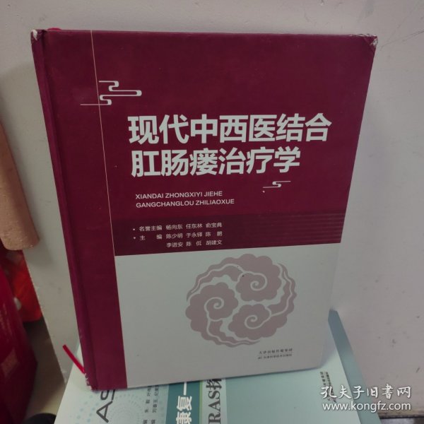 现代中西医结合肛肠瘘治疗学