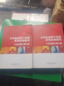 公司业务客户经理实务应用教材 行业金融方案分册 上下