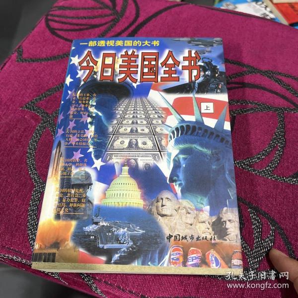 今日美国全书:一部透视美国的大书