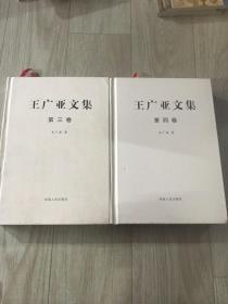 王广亚文集1-4卷