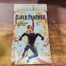 Black Panther: A Nation Under Our Feet Book 2