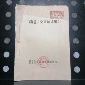 临9井完井地质报告【内附图表】