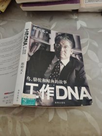 工作DNA