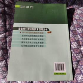 畜禽常见病防制技术图册丛书：肉牛常见病防制技术图册