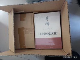 齐河历史文化（精装）