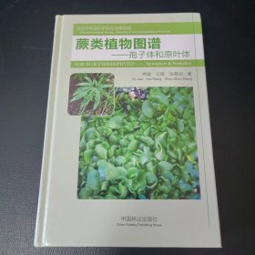 蕨类植物图谱：孢子体和原叶体