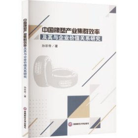 中橡塑业集群效率及其与企业价值关系研究