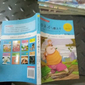 小天才与傻大个