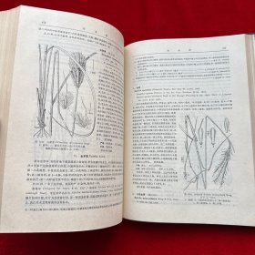 海南植物志（第四卷）精装