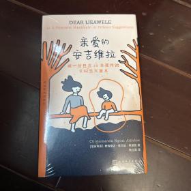 阿迪契作品系列：亲爱的安吉维拉（精装）