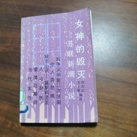 女神的毁灭:苏联新潮小说