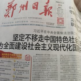 郑州日报2020年11月18日20版：绚丽十三五 郑州这5年