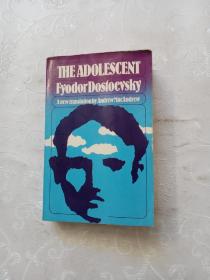 The Adolescent (norton Paperback)