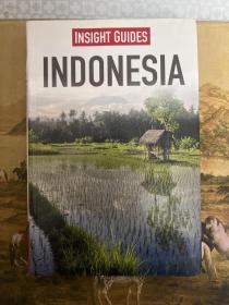 Insight Guides: Indonesia