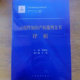 示范性知识产权裁判文书评析/示范性裁判文书评析丛书