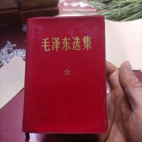 毛泽东选集(一卷本)