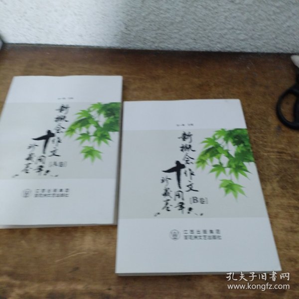 新概念作文十周年珍藏