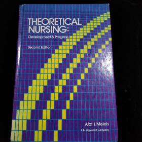 theoretical nursing 理論的護(hù)理