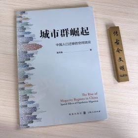 城市群崛起:中国人口迁移的空间效应 潘泽瀚 著 格致出版社