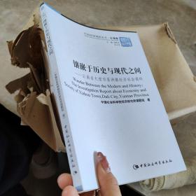 "镶嵌于历史与现代之间:云南省大理市喜洲镇经济社会调研:the inverstigation report about economy and society of Xizhou town, dali city, Yunnan province",