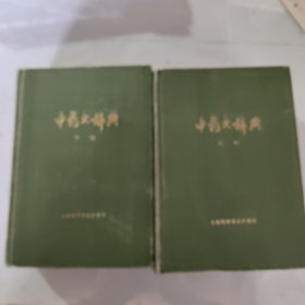 中药大辞典 上下册 上海科学技术出版社