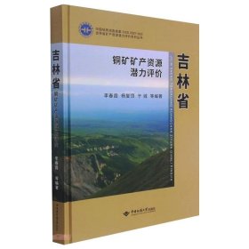 吉林省铜矿矿产资源潜力评价