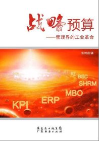 战略预算
