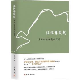 江汉春风起 覃亚四中短篇小说选 中国现当代文学 覃亚四 新华正版