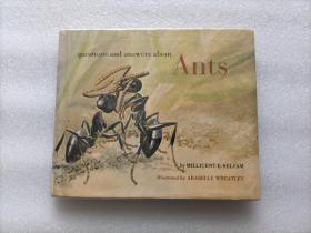 Questions and Answers Bout Ants 精装本
