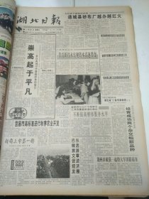 湖北日报1997年8月17日