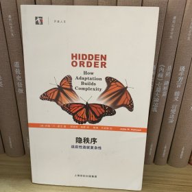 隐秩序：适应性造就复杂性