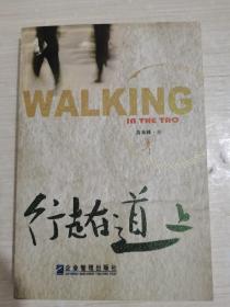行走在道上