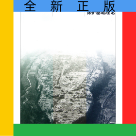 中國建筑遺產(chǎn)保護(hù)基礎(chǔ)理論/高校建筑類專業(yè)參考書系