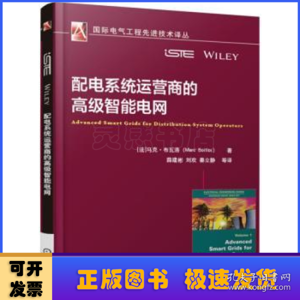 配电系统运营商的高级智能电网