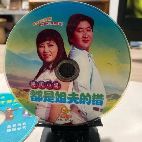 DVD 民间小调：都是姐夫的错