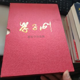 唐双宁自选集全六册 带盒