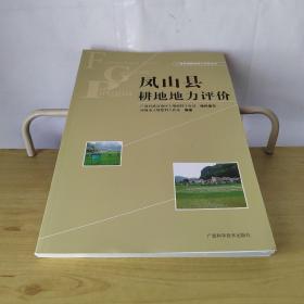 广西县域耕地地力评价丛书：凤山县耕地地力评价