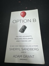 Option B 英文版