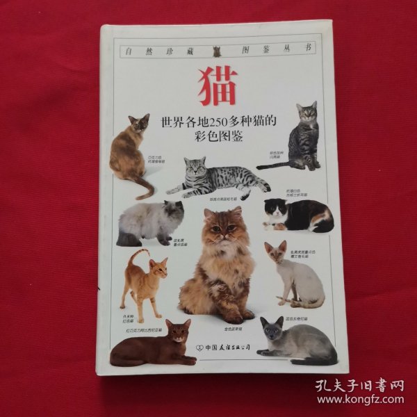 猫：全世界250多种猫的彩色图鉴