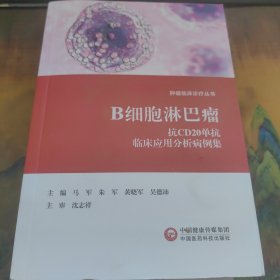 B细胞淋巴瘤抗CD2O单抗临床应用分析病例集 干净