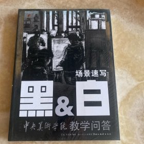 黑&白·冲刺中央美术学院教学问答：场景速写