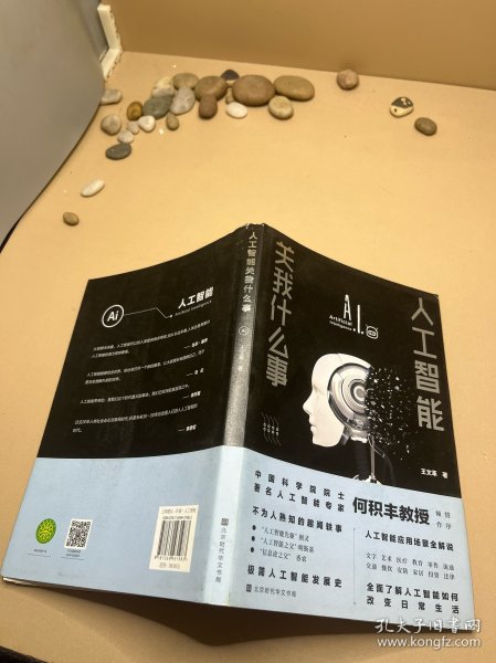 人工智能关我什么事（中国科学院院士著名人工智能专家何积丰教授倾情作序推荐）