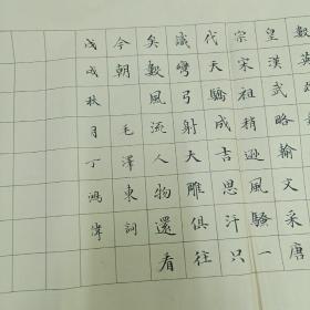 丁鸿伟 书法作品 (小幅无印款)