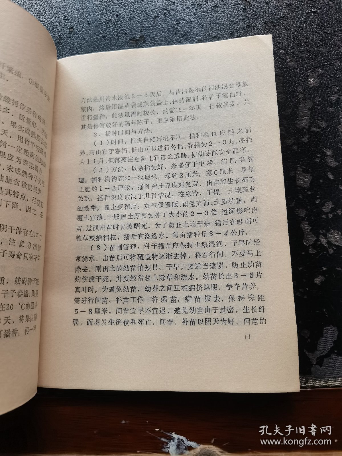 杜仲栽培（现货，内页无字迹划线）