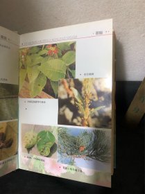 园林花卉病虫害防治手册（精装）