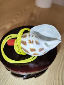 小螺号