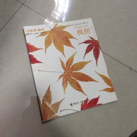 小聪仔自然 枫树