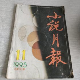 小说月刊 1995 11