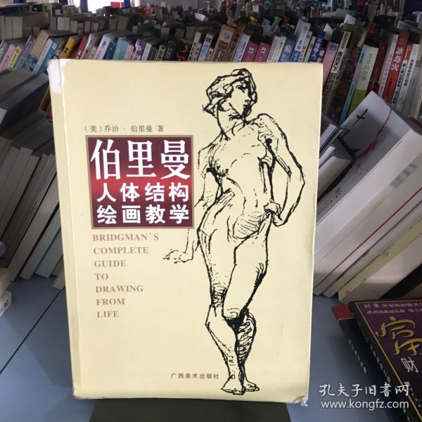 伯里曼人体结构绘画教学