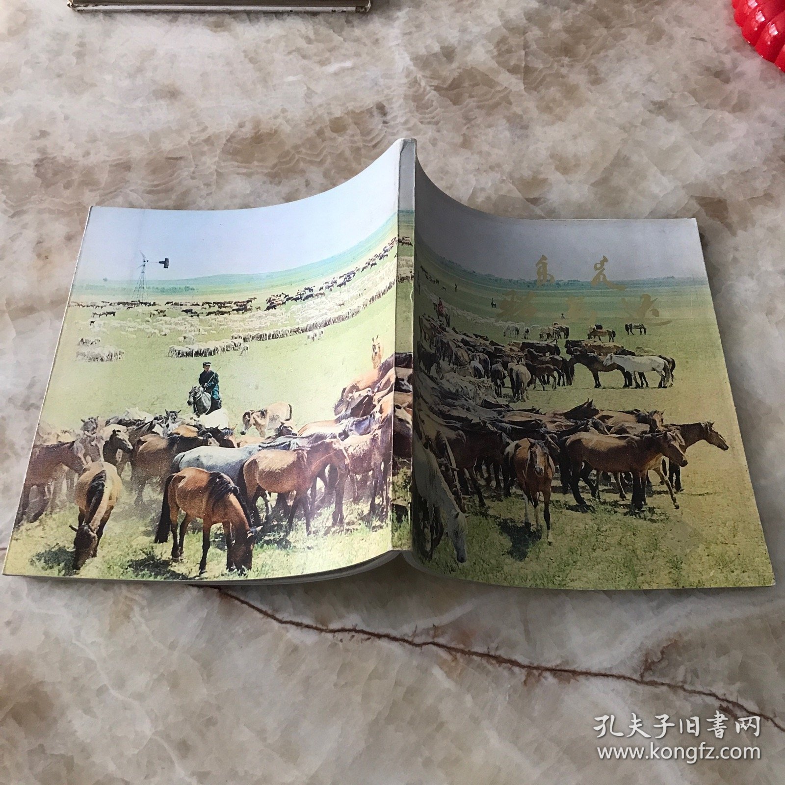 昭乌达 画册·汉、蒙文对照版